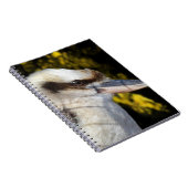 Australian Blue Winged Kookaburra, Notizblock (Rechte Seite)
