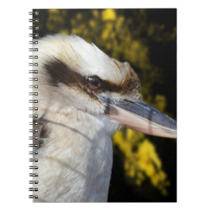 Australian Blue Winged Kookaburra, Notizblock