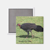 Australian Brush (Bush) Türkei Magnet (Vorderseite/Rückseite)