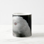 Australian Cape Barren Goose Kaffeetasse (Mittel)