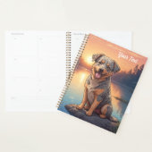 Australian Cattle Dog am See Planer (Anzeige)