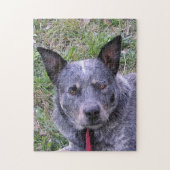 Australian_cattle_dog blue.png puzzle (Vertikal)