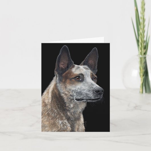 Australian Cattle Dog Card - "Jack" Karte (Vorderseite)