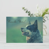 Australian Cattle Dog Dankeskarte (Stehend Vorderseite)