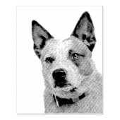 Australian Cattle Dog Gummistempel (Prägung)