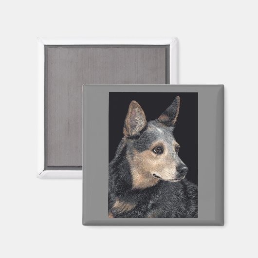 Australian Cattle Dog Magnet - "Quigley" (Vorderseite/Rückseite)