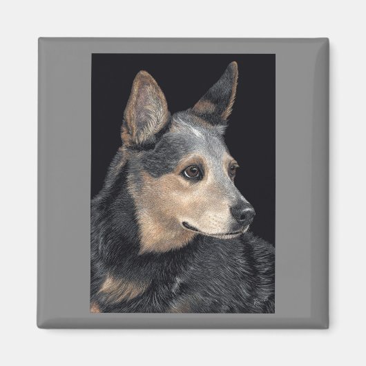 Australian Cattle Dog Magnet - "Quigley" (Vorne)