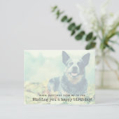 Australian Cattle Dog Postkarte (Stehend Vorderseite)