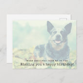 Australian Cattle Dog Postkarte (Vorne/Hinten)
