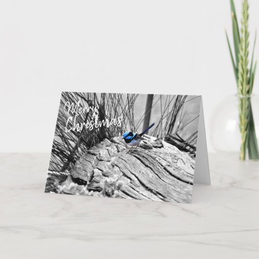 Australian Christmas Greeting Card Fairy Blue Wren Karte (Vorderseite)