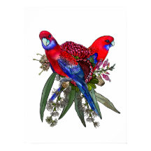 Australian Crimson Rosella und Wildblume Bouquet