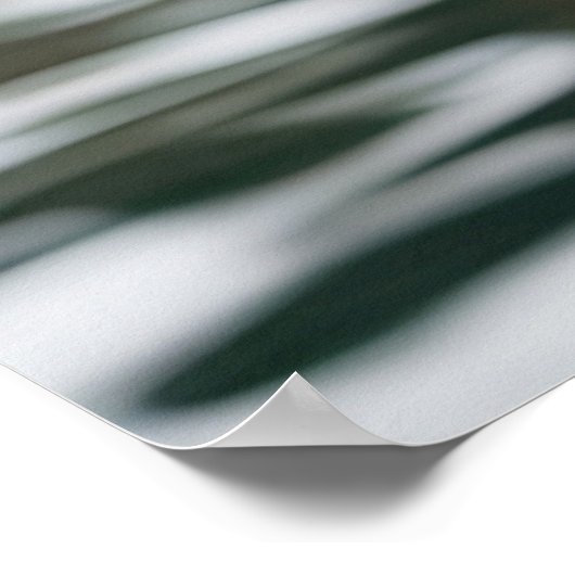 Australian Drop Bear Koala Poster (Ecke)