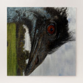 Australian Emu Face Closeup, Puzzle (Horizontal)