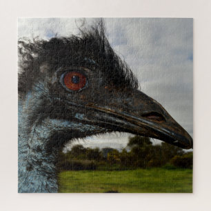 Australian Emu Face Closeup, Puzzle