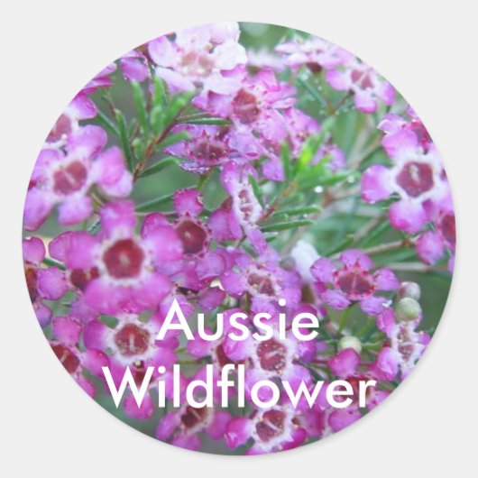 Australian Geralton Wax Runder Aufkleber (Vorderseite)