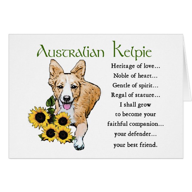 Australian Kelpie Art Gifts (Vorderseite (Horizontal))
