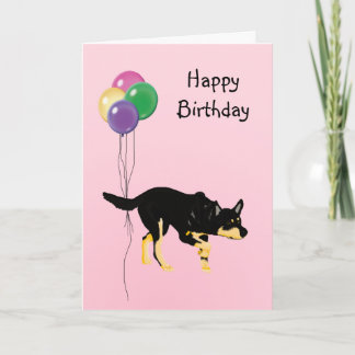 Australian Kelpie, Birthday Balloons Karte