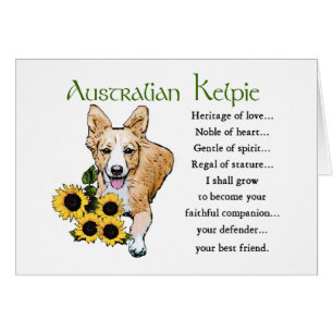 Australian Kelpie Gifts