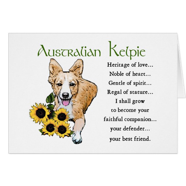 Australian Kelpie Gifts (Vorderseite (Horizontal))