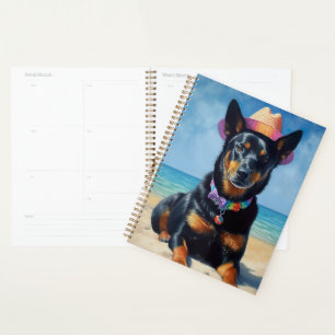 Australian Kelpie on Beach, Hunde liebt Sommergesc Planer
