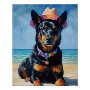 Australian Kelpie on Beach, Hunde liebt Sommergesc Poster