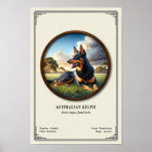 Australian Kelpie  Zoology Series Poster (Vorne)