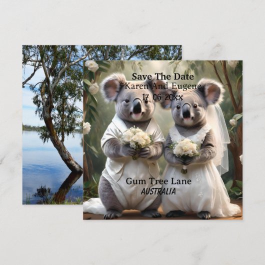 Australian Koala Bear White Wedding, (Vorne/Hinten)
