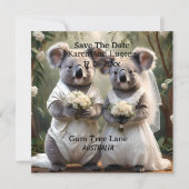 Australian Koala Bear White Wedding, (Vorderseite)