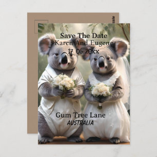 Australian Koala Bear White Wedding, Postkarte