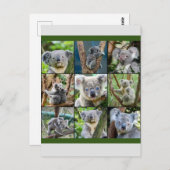Australian Koala in Eukalyptus Tree Postkarte (Vorne/Hinten)