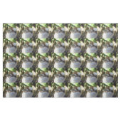 Australian Kookaburra Closeup Face, Stoff (Fat Quarter (45,7 x 55,9 cm))
