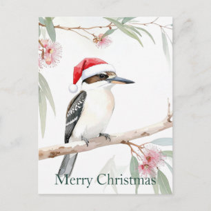 Australian Kookaburra Weihnachtsmannmütze Frohe We Postkarte