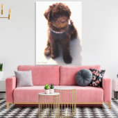 AUSTRALIAN LABRADOODLE PUPPY LEINWANDDRUCK (Insitu (Wohnzimmer))