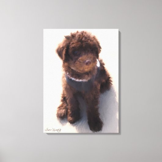 AUSTRALIAN LABRADOODLE PUPPY LEINWANDDRUCK (Vorderseite)