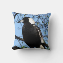 Australian Magpie Kissen