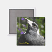 Australian Magpie Magnet (Vorderseite/Rückseite)