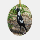 Australian Magpie Ornament (Rechts)