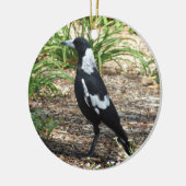 Australian Magpie Ornament (Links)