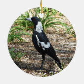 Australian Magpie Ornament (Hinten)