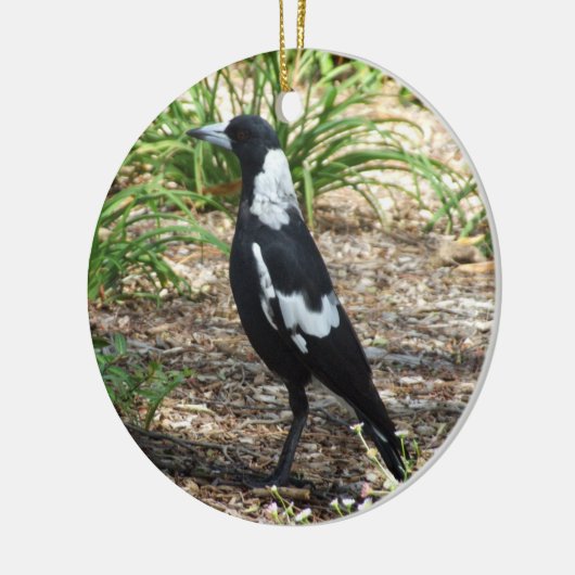 Australian Magpie Ornament (Links)
