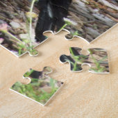 Australian Magpie Puzzle (Seite)