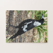 Australian Magpie Puzzle (Horizontal)