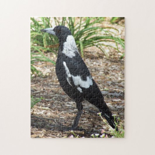 Australian Magpie Puzzle (Vertikal)