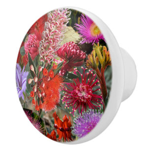 Australian Native Wild Blume Round Keramikknauf