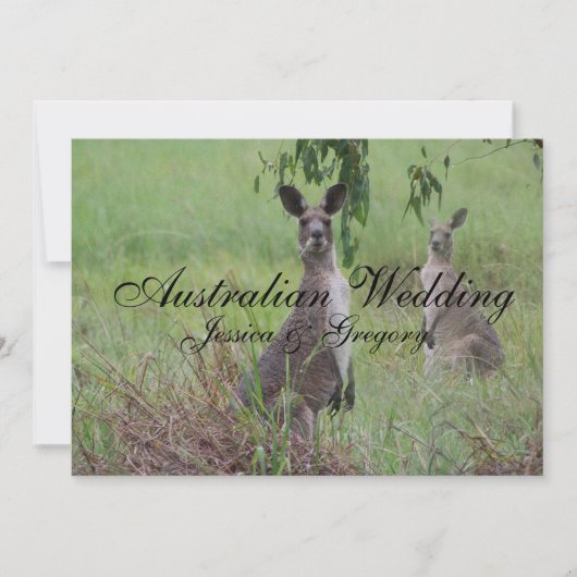 Australian Outback Kangaroos Wedding Einladungen (Vorderseite)