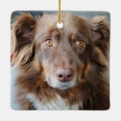 Australian Shelpherd Aussie Cog Custom Photo Keramikornament (Rückseite)