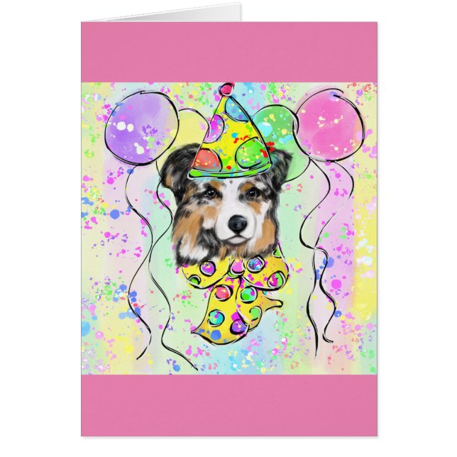 Australian Shepherd (Vorne)