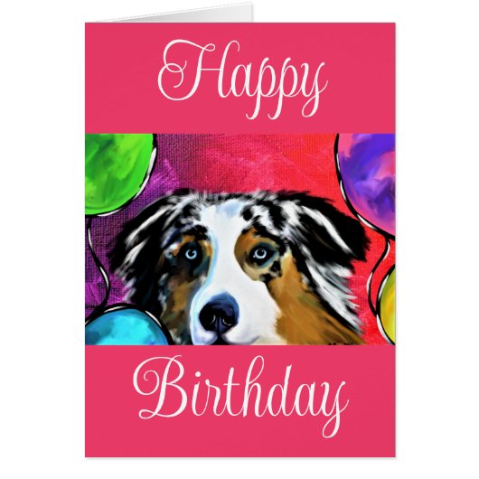 Australian Shepherd (Vorne)