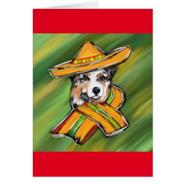 Australian Shepherd (Vorne)