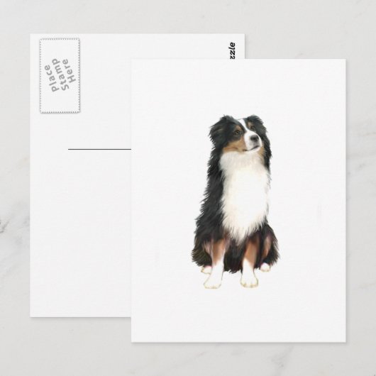 AUSTRALIAN SHEPHERD (A) - Tri Color Postkarte (Vorne/Hinten)